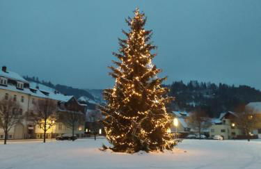 Ferienwohnung Steinachblick - Photo 25