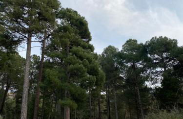 Guadarrama - Photo 11