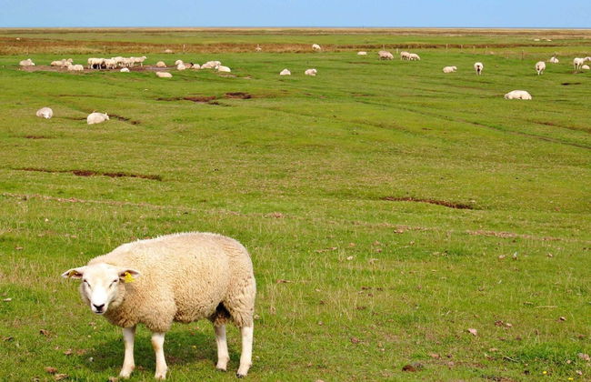 Charming Retreat on Mando - By Traum Ferienwohnungen - Foto 6