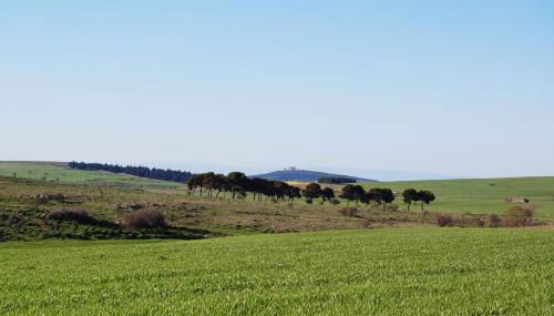 Masseria Torre Di Nebbia - Foto 4, Other