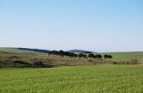 Masseria Torre Di Nebbia - Foto 4