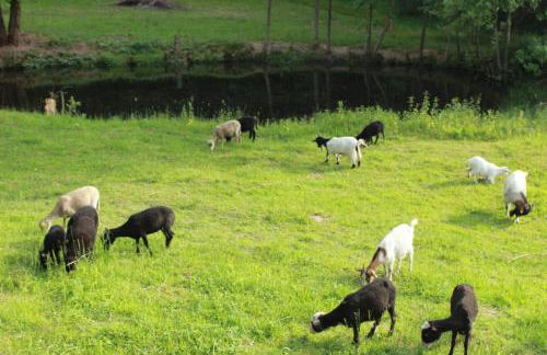 Chez Patoue Gîte et Chambre d'hôtes - Photo 13