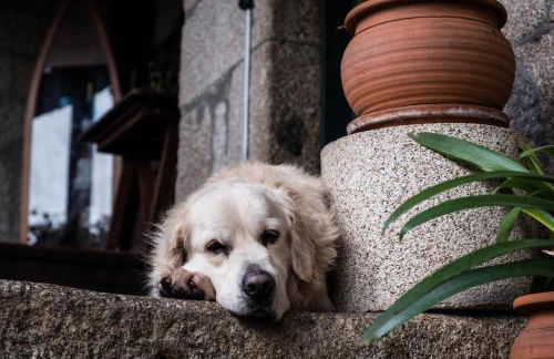 Casa de Louredo - Foto 5