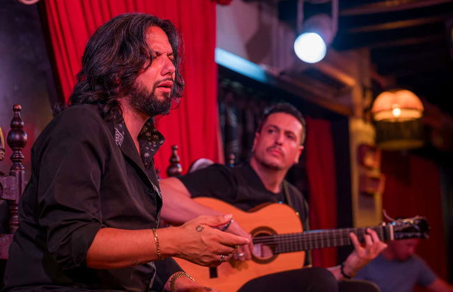 Jardines de Zoraya Flamenco Tablao - Photo 16