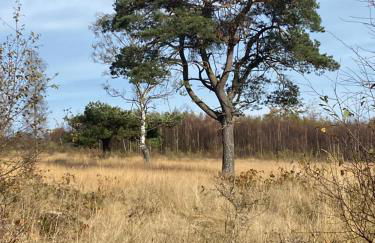 Landhausidylle - Photo 11