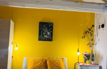 Chez Mary Studio -Jungle - Foto 5