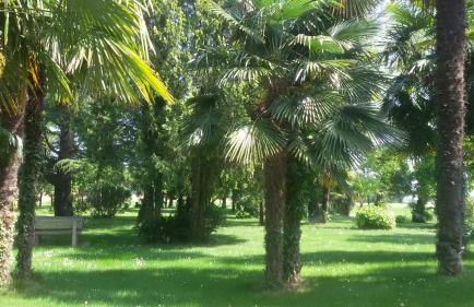 AgriturismoB&B Loggia Degli Artisti - Photo 60