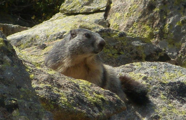 Casa rural cal Rei - Foto 24