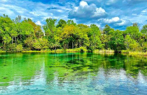 Charming Leesburg Cottage/Walk to HistoricDowntown - Foto 52