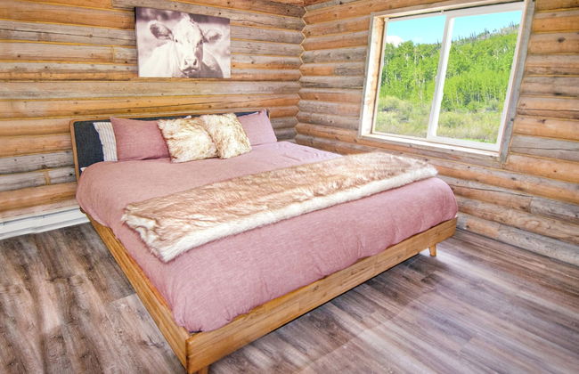 EML 3 Colorow - Foto 8