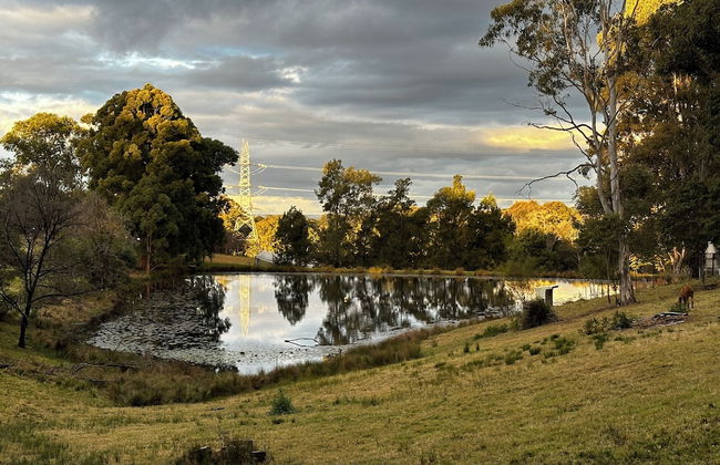 Blueberry Hills on Comleroy - Photo 55