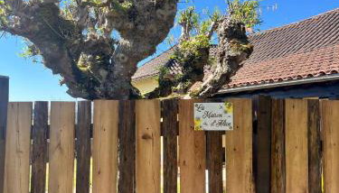 La maison d'Alice - Foto 3