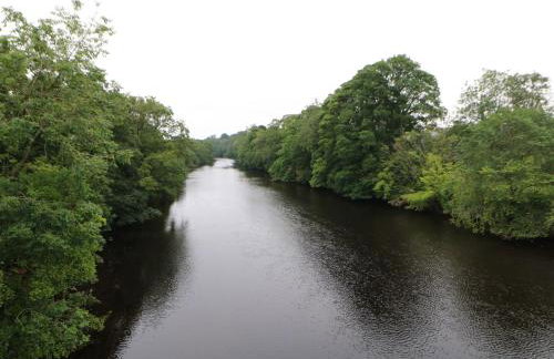 Magnolia Cottage - Foto 29