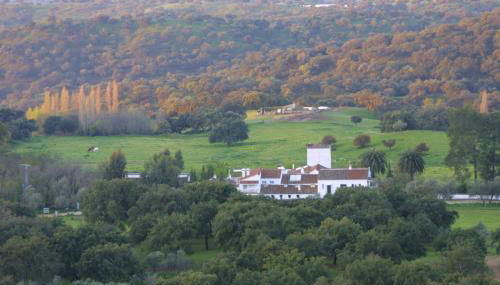 Las Navezuelas - Photo 4