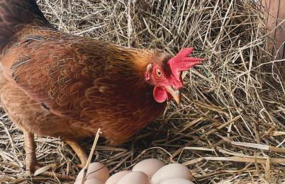 Agriturismo Prato del Re - Photo 70