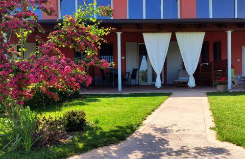 Agriturismo Podere Amati - Foto 18