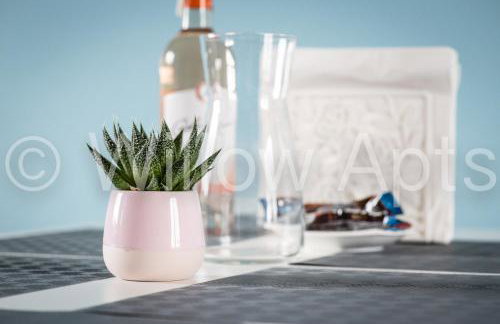 Willow Apts - Foto 7