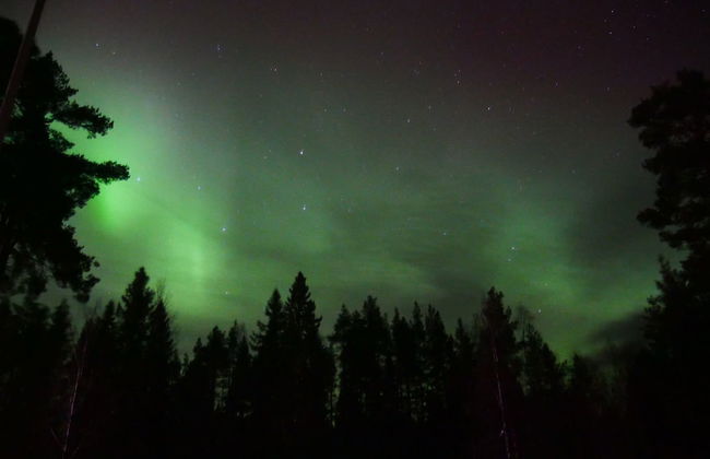 Vildmarks Lodge - Photo 65