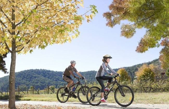 Mystic View Cottage Wandiligong - Foto 14