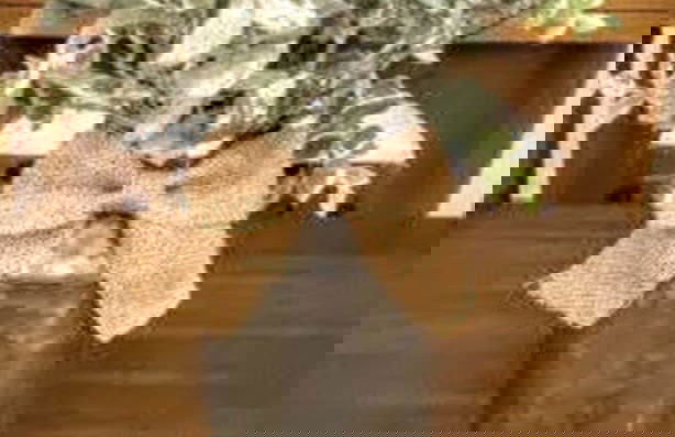 The Cottages of Lynchburg - Foto 52