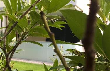 Balticsunset Rewal Apartment "Justi" - Foto 35