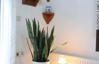 Skyrian Living - Foto 15