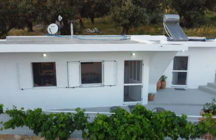 Mano's House - Foto 45