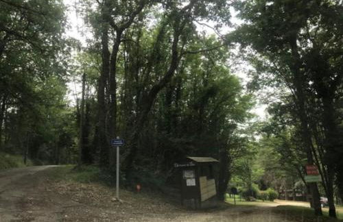 Chalet au milieu de la forêt avec lac à proximité - Foto 28