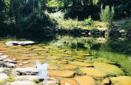Janelas da Cabreira - Foto 56