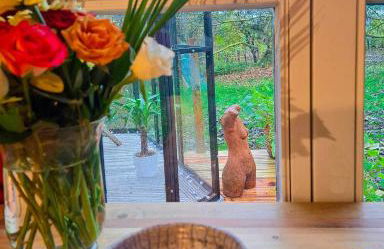 Tiny Haus - Sternenblick - Sauna - Foto 12