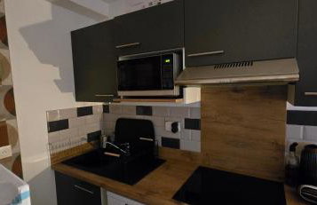 Les reflets du lac detente et nature à Genos-Loudenvieille classé 4 étoiles devant le lac avec jardin - Photo 22