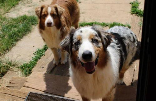 Evadez-vous à la ferme ! - Foto 40