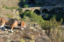 Casa Sardinha - Foto 57