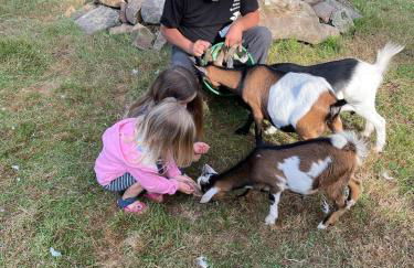 Ferienwohnung Lama - Foto 15