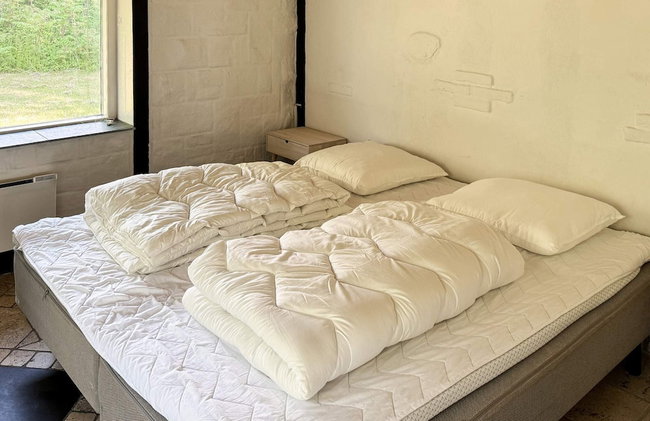 4 Star Holiday Home in Jaegerspris - Foto 20