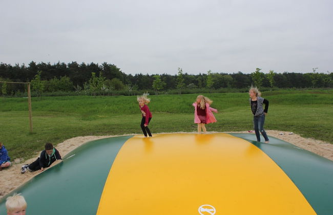 Relaxing Woodland Retreat - Photo 14