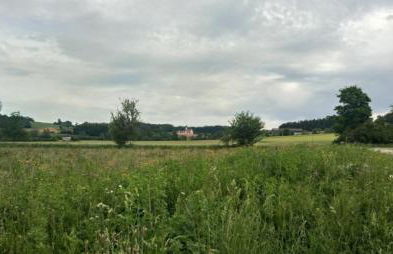 Ferienhaus beim Boten - Foto 22