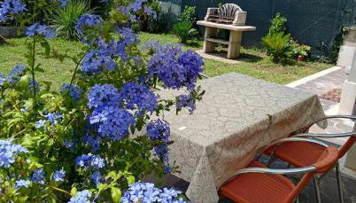 Berto's house tra mare e laguna - Foto 2, Garden view