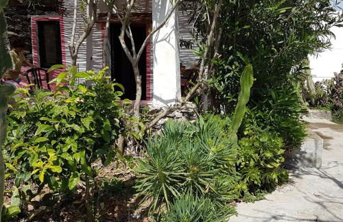 dammuso rosa - Foto 19