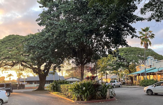 Akule Clubhouse: Awa 1 Bedroom Apt by the Beach 1 Condo by RedAwning - Foto 23