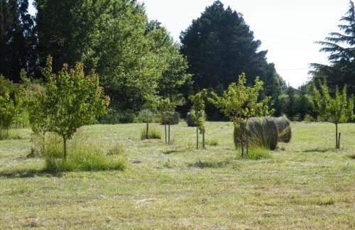 Maison de la Mascotte - Foto 21