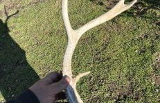 The Sequoia guesthouse - Foto 21