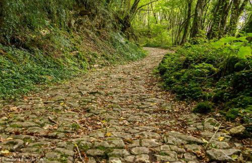 La Thébaïde - Foto 13