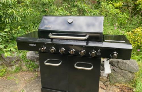 Pet Friendly, Hot Tub, Pizza Oven, EV Car, Golfing - Foto 50