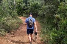 Quinta das Pedras - Tavira - Foto 29