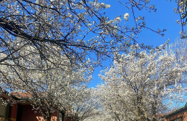 Mt Waverley Townhouses - Foto 26