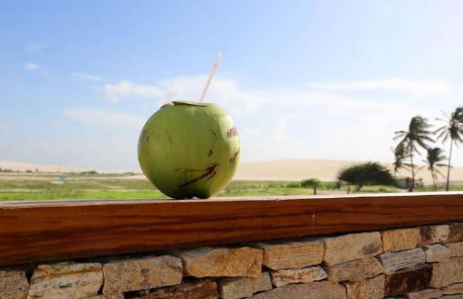 Villa Majica - Photo 28