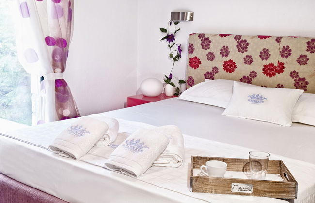 Golden King - Foto 18