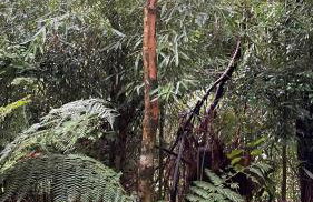 Pousada Recanto Gramado - Photo 15