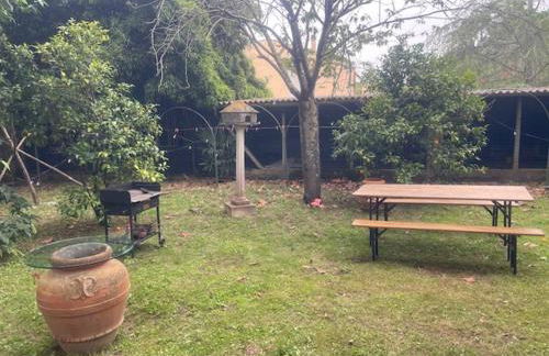 Il Piccolino - Foto 8